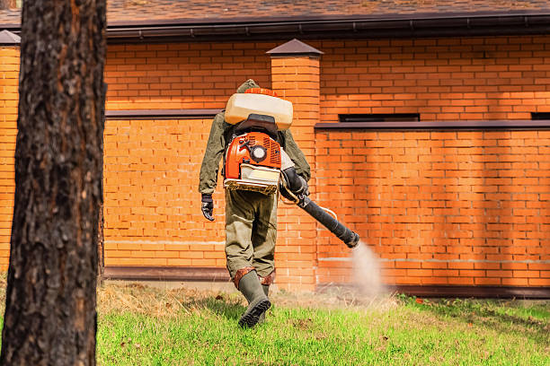 Trusted Bed Bug Control service in Gibbsboro, NJ - Nex Pest Control